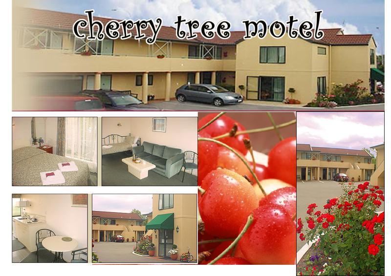 Cherry Tree Lodge Motel Christchurch Exterior foto