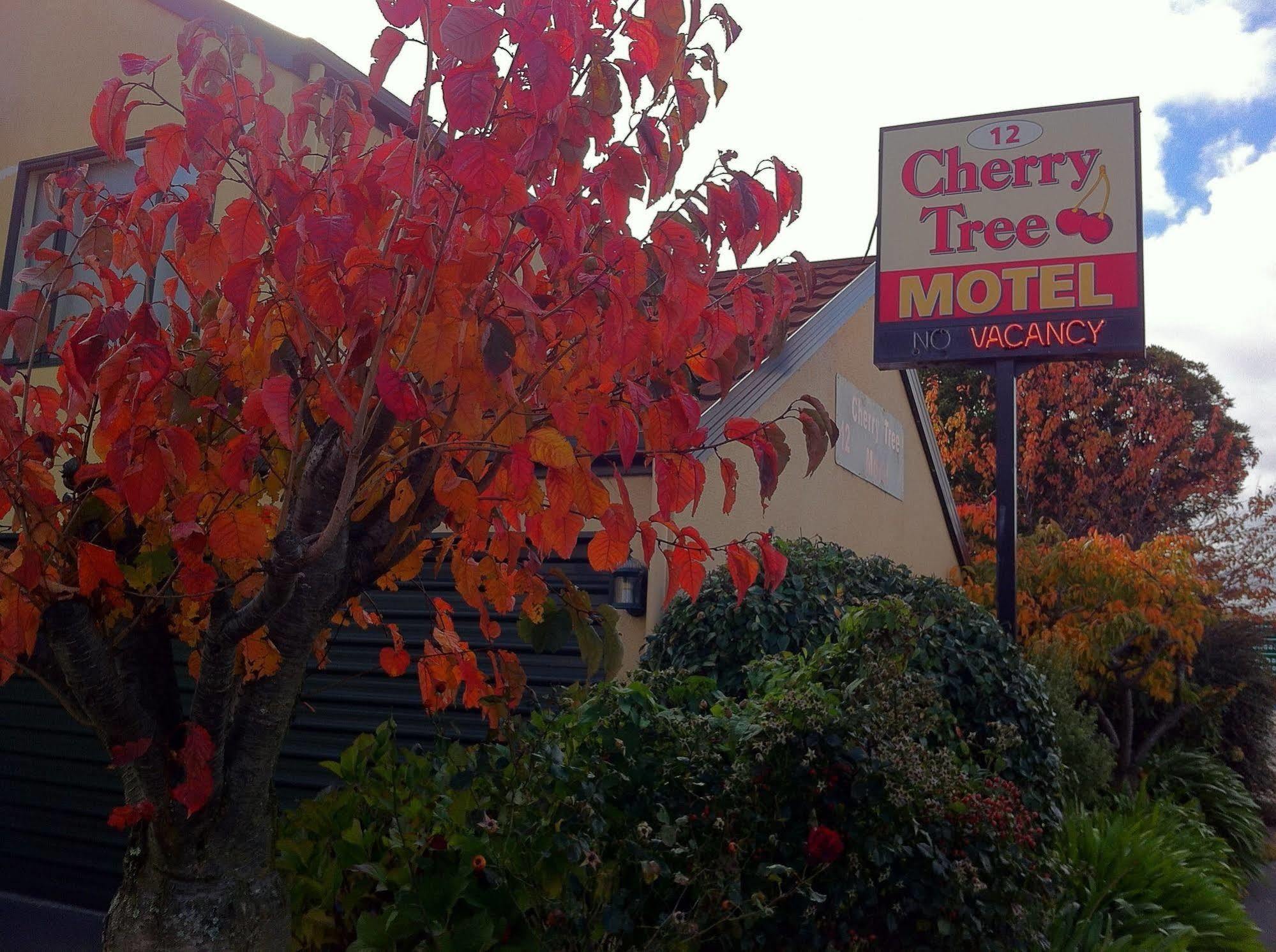 Cherry Tree Lodge Motel Christchurch Exterior foto